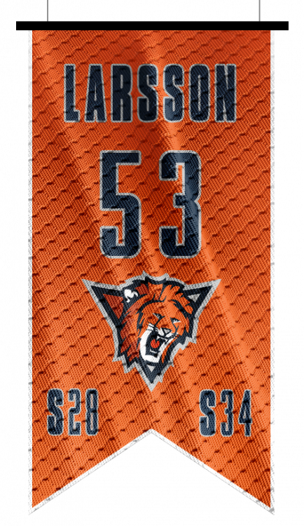 53_Larsson_V01.png