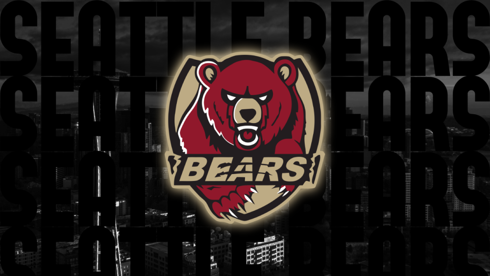 bears logo.png