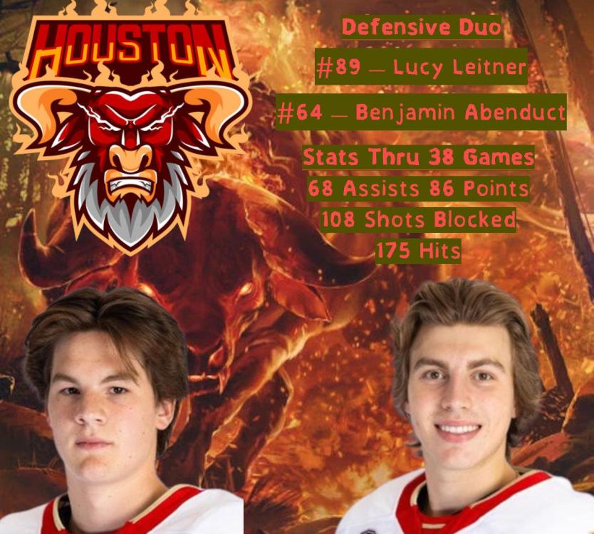 DefensiveDuo.thumb.jpg.07bad661990a4f18696e297c37a915c5.jpg